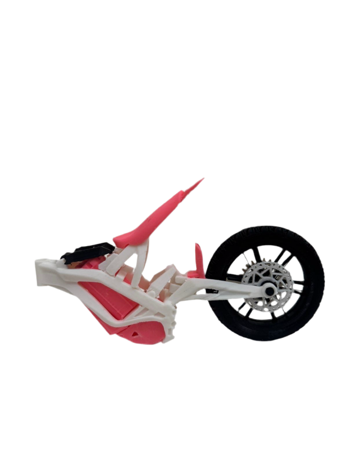 FMX customizable mini Sur-Ron