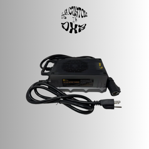Charger for surron ligth bee x