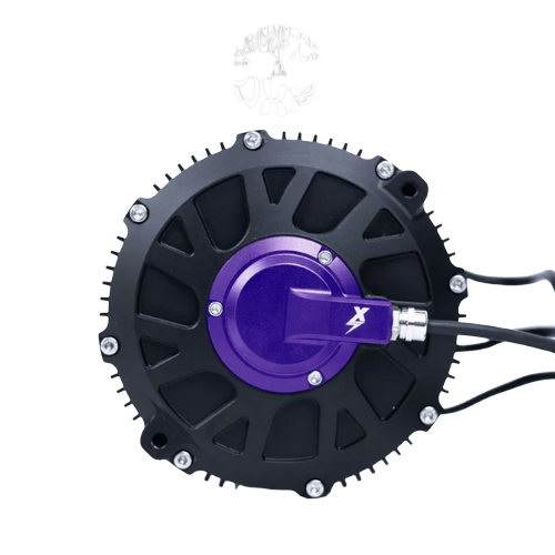 EBMX XLB-60 Race Motor: Sur-Ron Light Bee, E Ride Pro